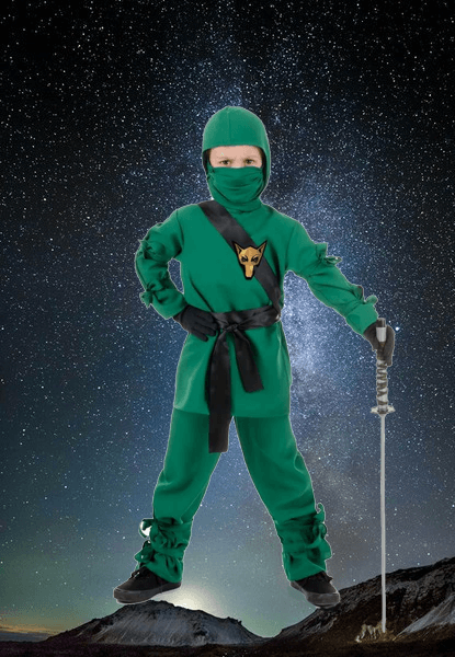 Ninja Costumes for Kids & Adults | SC