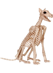 Skeleton Doberman Props