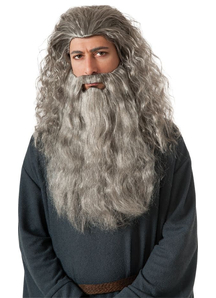 Wig And Beard For Gandalf Costume