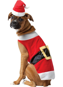 Santa Dog Costume