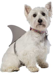 Shark Fin Dog Costume