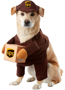 Ups Pet Costume