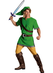 Link Teen Costume