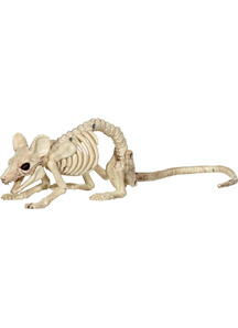 Mouse Crawling Skeleton