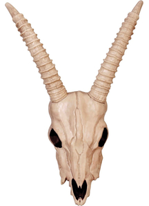 Skeleton Gazelle Head