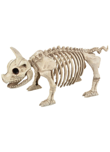 Pig Skeleton