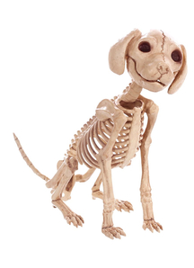 Puppy Sitting Skelebones