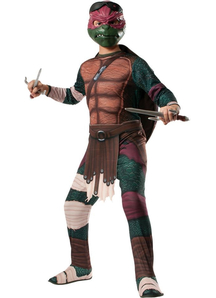 Tmnt Raphael Adult Costume