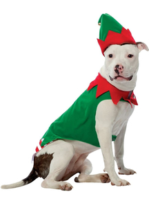 Elf Pet Costume