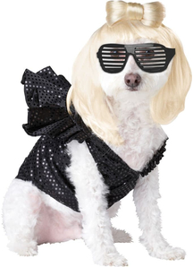 Pop Diva Pet Costume