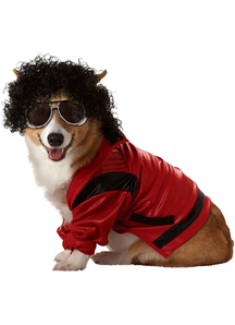 Pop King Pet Costume