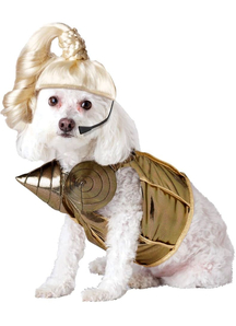 Pop Star Pet Costume