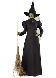 Classic Witch Adult Costume