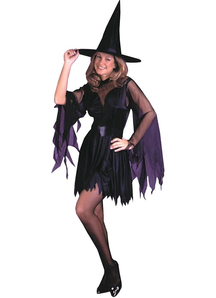 Classical Witch Adult Costume