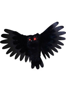 Animated Black Owl