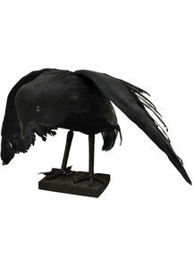 Black Raven