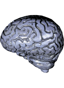 Grey Human Brain