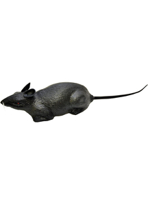 Individual Rat