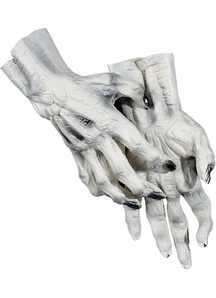 Hands Skeleton White