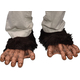 Chimp Feet